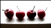 4cherries.jpg