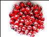 cherries2.jpg