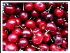 cherries3.jpg