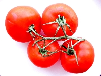 tomatoes2.jpg