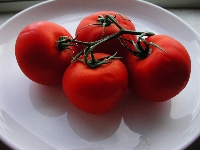 tomatoes4.jpg