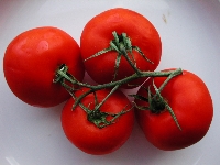 tomatoes5.jpg