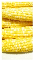 corn.jpg