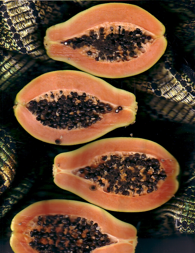 papaya.jpg