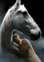 daniel-radcliffe-equus-04.html