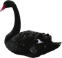 BlackSwan.html