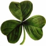 Irish_clover.html