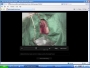 Imertage2.html