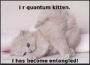 quantum_kitten.html