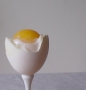 egg16.html