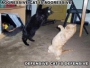 mt948898043_jpg___1_550_1_800_09838b9e_.html