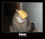 cheez_doing_it_wrong.html