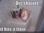 dis-shower.html