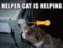 helpercat.html