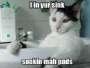 i-in-yur-sink-soakin-mah-pads.html