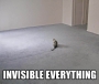 invisible-everything.html