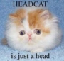 lolcats_headcat.html