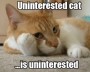 uninterested.html