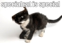 specialcat-pam.html