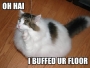 oh-hai-i-buffed-ur-floor.html