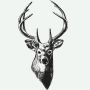 ist2_88953_deer_head_vector.html