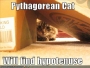 funny-pictures-pythagora-cat-box.html