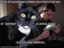 funny-pictures-beowulf-bill-cat.html