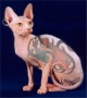 CatTattoo.html