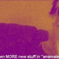 ana2-cam104192.jpg