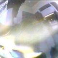 ana2-cam108280.jpg