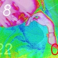 ana2-cam209438.jpg