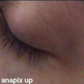 anacamhere05491.jpg