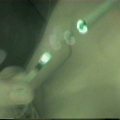 ana2-cam4(020).jpg
