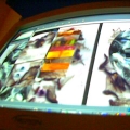 bigcam03242.jpg