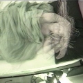 anacam000820092352.JPG