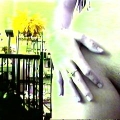 cam4000824112347.JPG