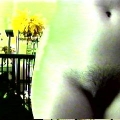 cam4000824115731.JPG