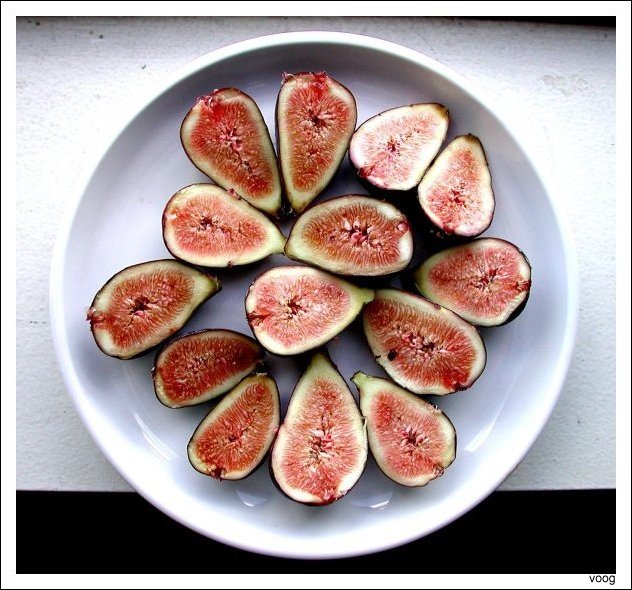 figs.jpg