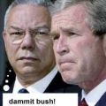 bush1.jpg