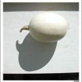 gourd1.jpg